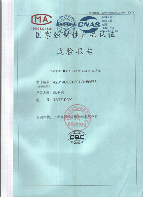 低壓試驗報告